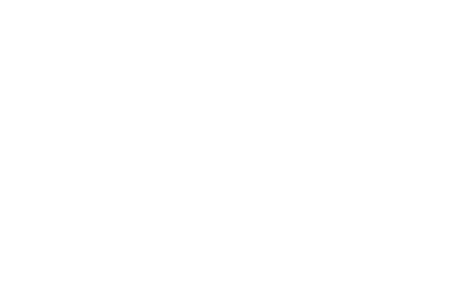 Client logo 13